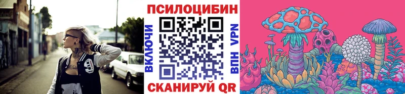 kraken как зайти  Луза  Псилоцибиновые грибы Cubensis 
